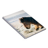 BROWN PFERDE AUF GRASS IN DER NÄHE DES STRANDES NOTIZBLOCK (Rechte Seite)