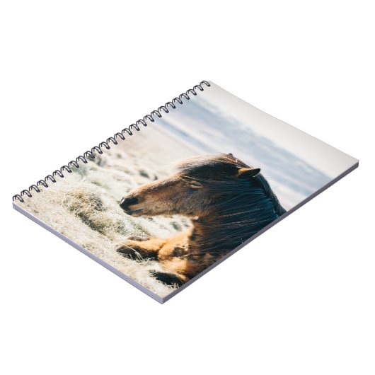 BROWN PFERDE AUF GRASS IN DER NÄHE DES STRANDES NOTIZBLOCK (Linke Seite)