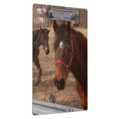 Brown-Pferde Klemmbrett (Rechts)