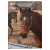 Brown-Pferde Klemmbrett (Vorderseite)