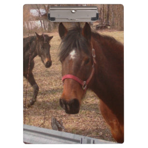 Brown-Pferde Klemmbrett