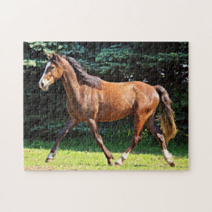 Brown-Pferdebetrieb Puzzle