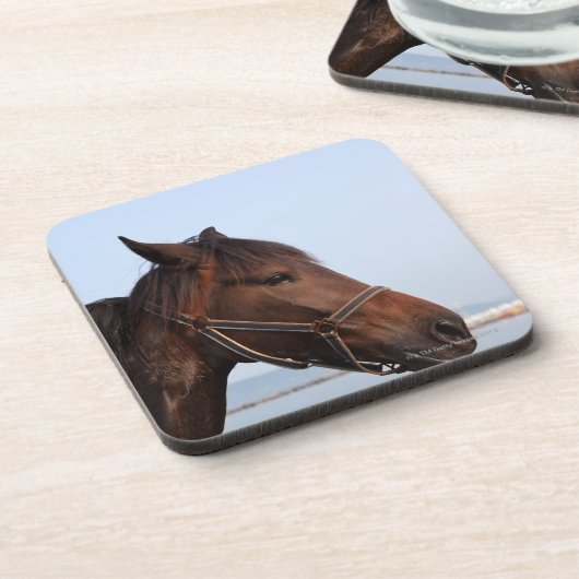 Brown-Pferdekopf Getränkeuntersetzer (Linke Seite)