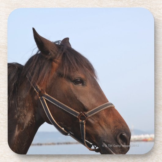 Brown-Pferdekopf Getränkeuntersetzer (Vorderseite)