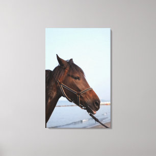 Brown-Pferdekopf Leinwanddruck