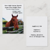 Brown-Pferdephotographisches Porträt Visitenkarte (Vorne/Hinten)