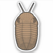 Brown Phacops Trilobit - prähistorisches TierVinyl Aufkleber (Vorderseite)