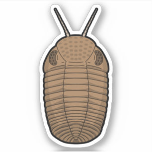 Brown Phacops Trilobit - prähistorisches TierVinyl Aufkleber