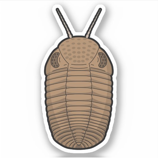 Brown Phacops Trilobit - prähistorisches TierVinyl Aufkleber (Vorderseite)