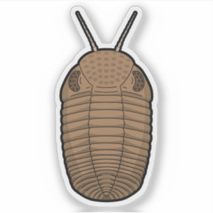 Brown Phacops Trilobit - prähistorisches TierVinyl Aufkleber