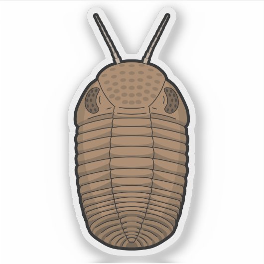 Brown Phacops Trilobit - prähistorisches TierVinyl Aufkleber (Vorderseite)