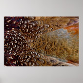 Brown Pheasant Feather Design Poster (Vorne)