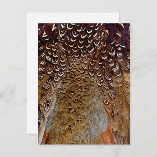 Brown Pheasant Feather Design Postkarte (Vorne/Hinten)