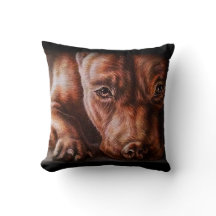 Brown pitbull Gesichtszeichnen des
