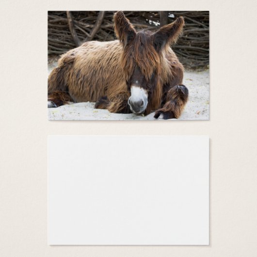Brown Poitou Donkey (Vorne & Hinten)