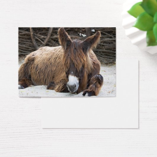 Brown Poitou Donkey (Schreibtisch)
