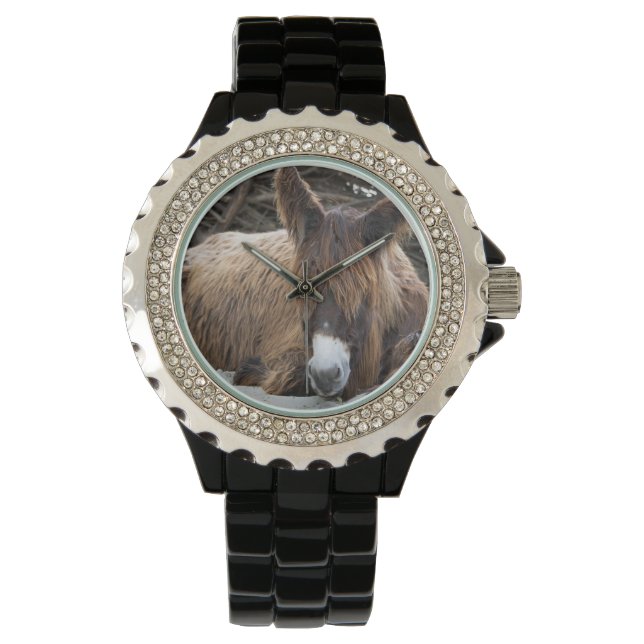 Brown Poitou Donkey Armbanduhr (Vorderseite)