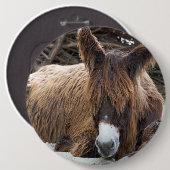 Brown Poitou Donkey Button (Vorne & Hinten)