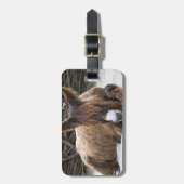 Brown Poitou Donkey Gepäckanhänger (Vorderseite vertikal)