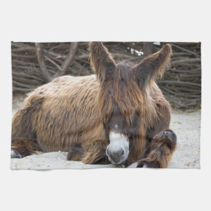 Brown Poitou Donkey Geschirrtuch