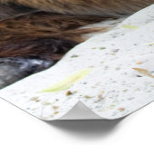 Brown Poitou Donkey Poster (Ecke)