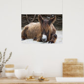 Brown Poitou Donkey Poster (Küche)