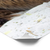 Brown Poitou Donkey Poster (Ecke)