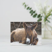 Brown Poitou Donkey Postkarte (Stehend Vorderseite)