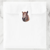 Brown Pony Runder Aufkleber (Tasche)