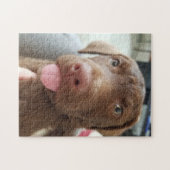 Brown Puppy Puzzle (Horizontal)