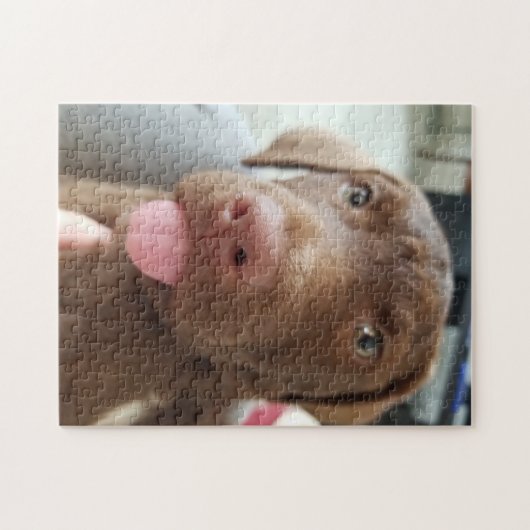 Brown Puppy Puzzle (Horizontal)
