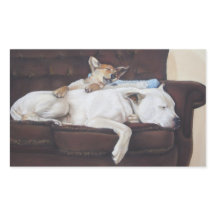 Brown Puppy White American Bulldog