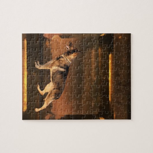 Brown Puzzle (Horizontal)