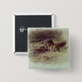 Brown-Ratte 1918 Button (Vorne & Hinten)