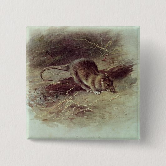Brown-Ratte 1918 Button (Vorderseite)