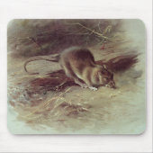 Brown-Ratte 1918 Mousepad (Vorne)