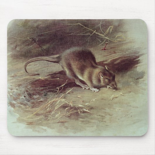 Brown-Ratte 1918 Mousepad (Vorne)