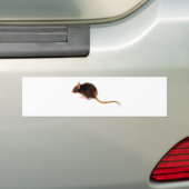 Brown-Ratte Autoaufkleber (Auf Auto)