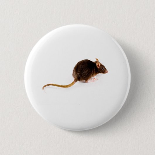 Brown-Ratte Button (Vorderseite)