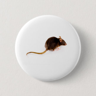 Brown-Ratte Button