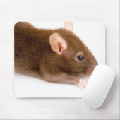 Brown-Ratte Mousepad (Mit Mouse)