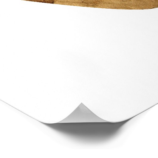 Brown Recycle Sign Poster (Ecke)