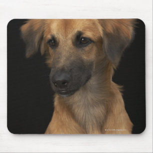Brown resuce Hund mit schwarzer Nase auf Schwarzem Mousepad