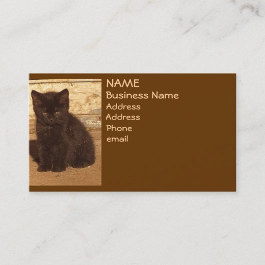 Brown Retro Sepia Kitten Business Cards Visitenkarte (Vorderseite)