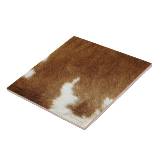 Brown-Rindleder-Druck Fliese (Seite)