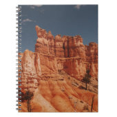 BROWN ROCKS NOTIZBLOCK (Vorderseite)