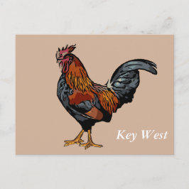 Brown Rooster Key West Post Card Postkarte