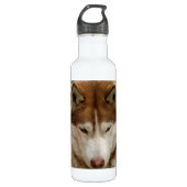 Brown-Schlittenhund Trinkflasche (Vorderseite)