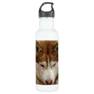 Brown-Schlittenhund Trinkflasche
