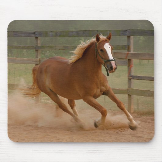 Brown-Schönheit Mousepad (Vorne)